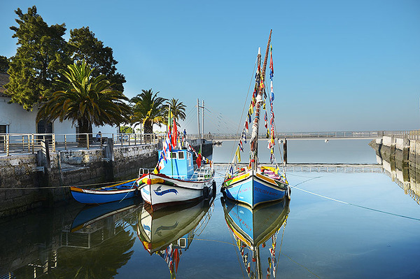 Montijo
